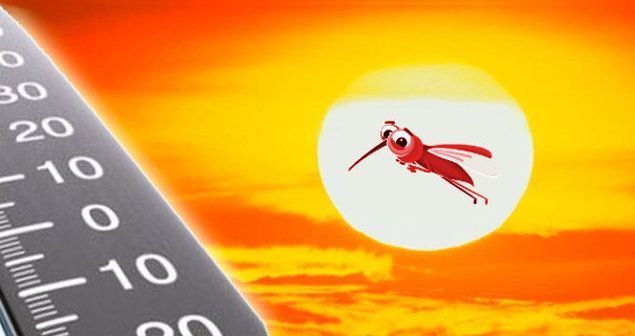 Llega el sol y los mosquitos